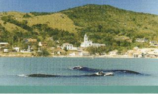 Vista a�rea de GAROPABA