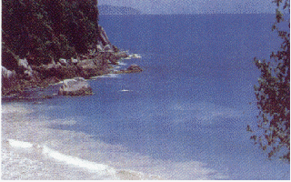 Vista de Porto Belo
