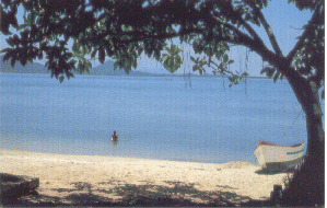 Praia de paulas